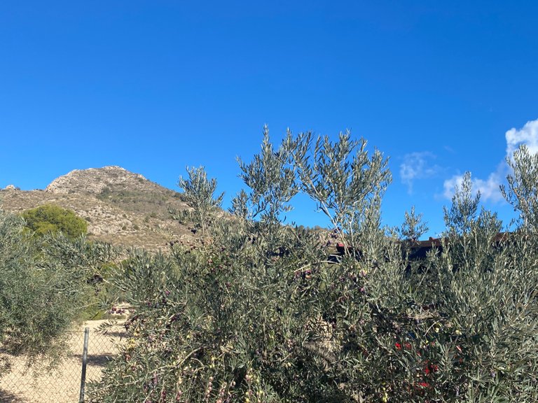 Villa for Sale in Sax, Alicante 30