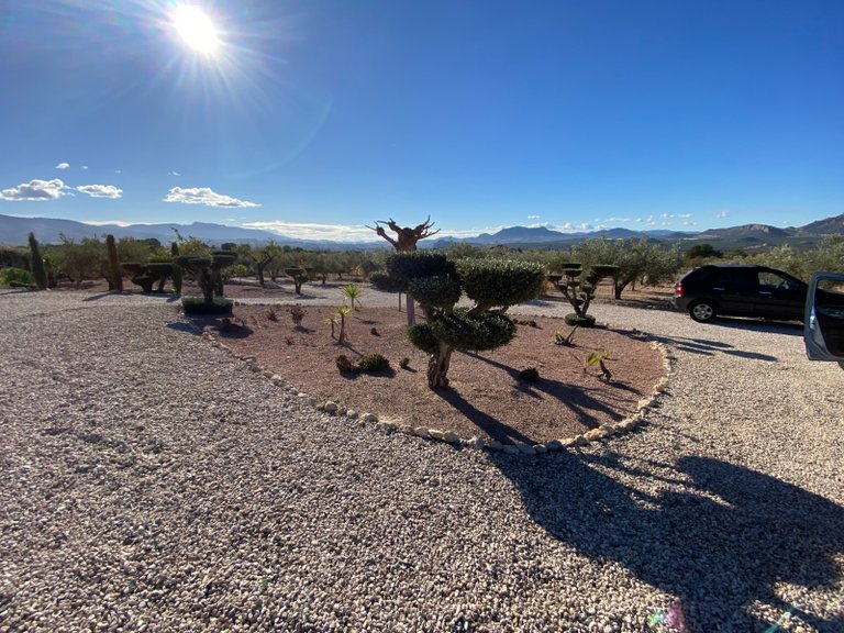 Villa for Sale in Sax, Alicante 37