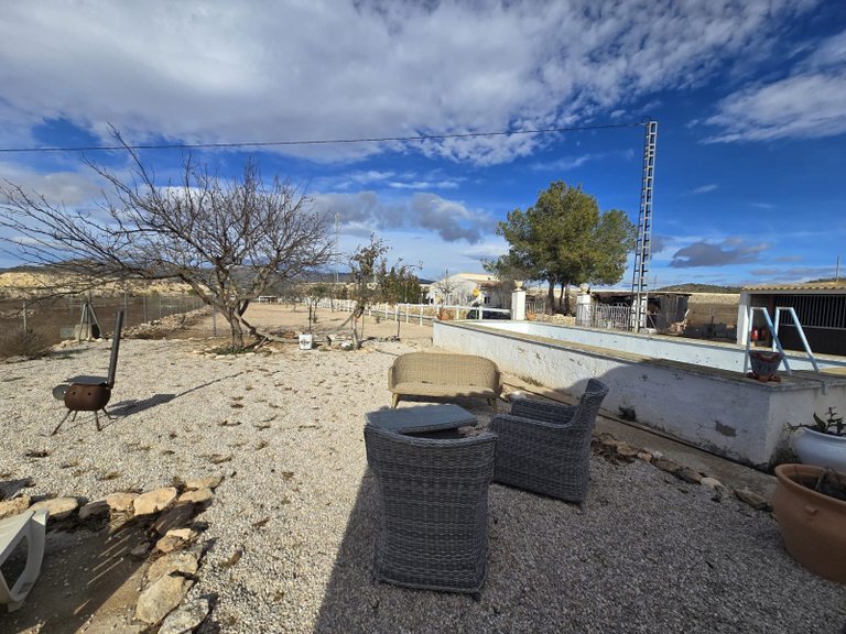 Country House for Sale in Monóvar, Alicante 5