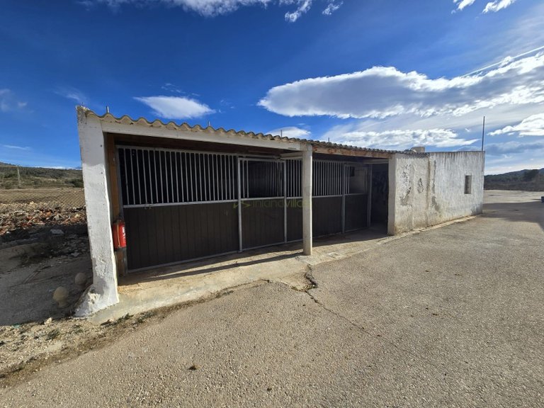Country House for Sale in Monóvar, Alicante 15
