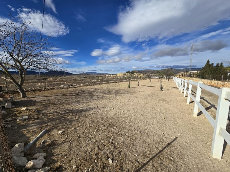 Country House for Sale in Monóvar, Alicante 14