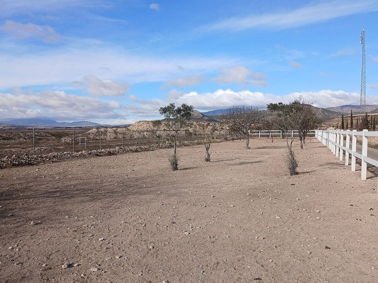 Country House for Sale in Monóvar, Alicante 36