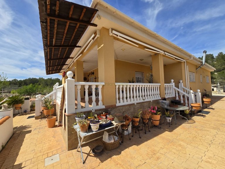 Villa for Sale in Sax, Alicante 5