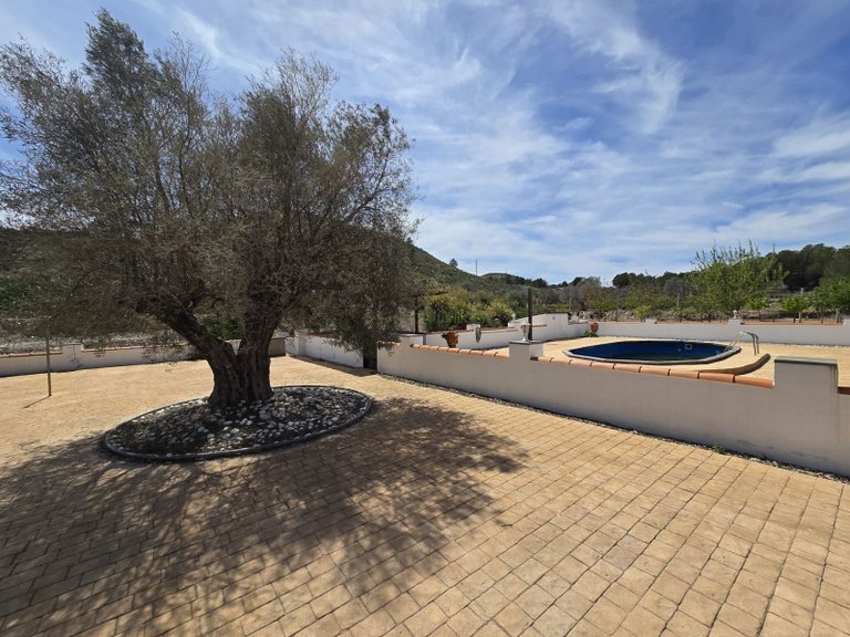 Villa for Sale in Sax, Alicante 33