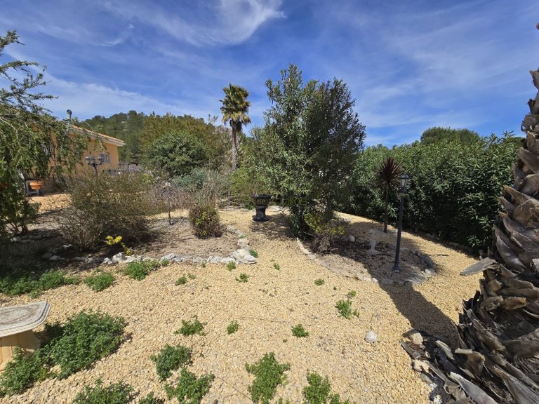 Villa for Sale in Sax, Alicante 27
