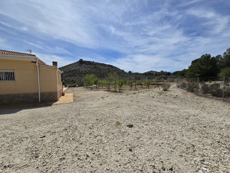 Villa for Sale in Sax, Alicante 30