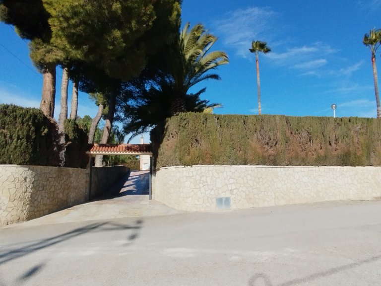 Villa for Sale in Sax, Alicante 50