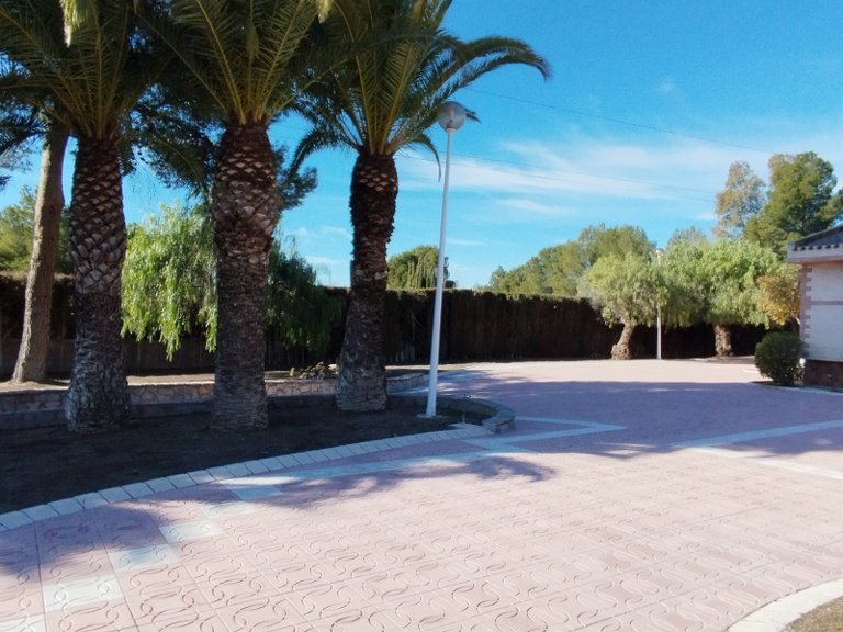 Villa for Sale in Sax, Alicante 21