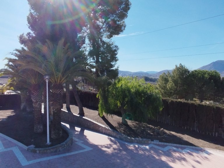 Villa for Sale in Sax, Alicante 37