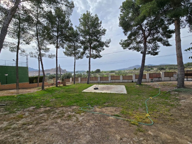 Country House for Sale in Sax, Alicante 27
