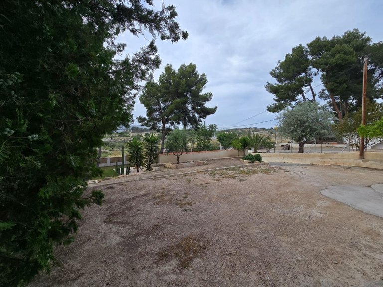 Country House for Sale in Sax, Alicante 28