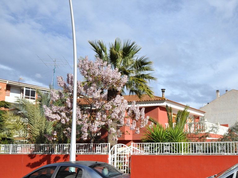 Town House for Sale in Sax, Alicante 2