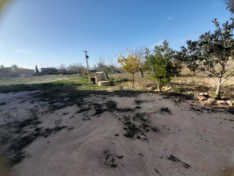Country House for Sale in Monóvar, Alicante 14