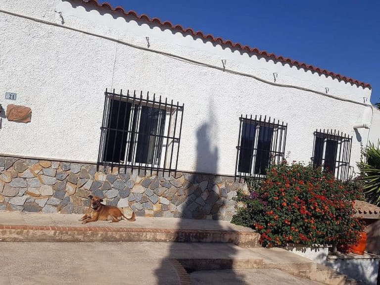 Country House for Sale in La Romana, Alicante 1