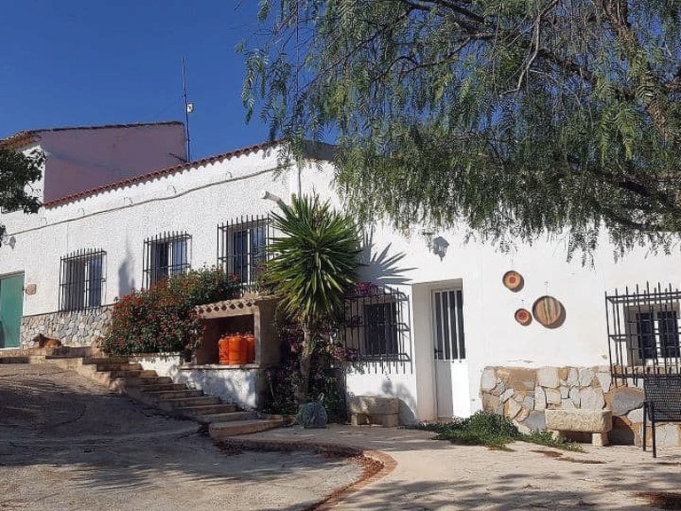 Country House for Sale in La Romana, Alicante 21