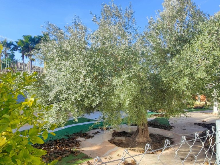 Villa for Sale in Aspe, Alicante 33