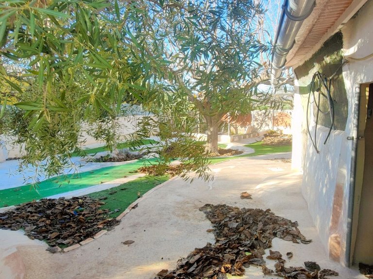 Villa for Sale in Aspe, Alicante 40