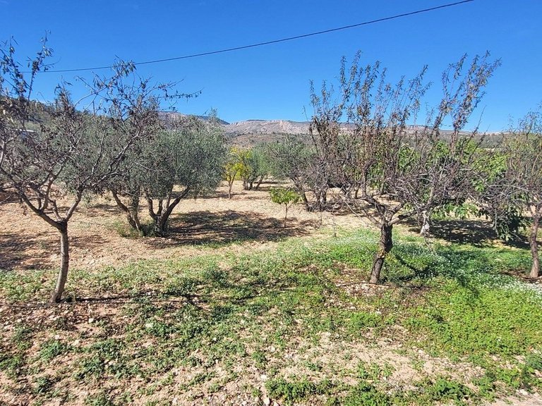 Villa for Sale in La Romana, Alicante 16