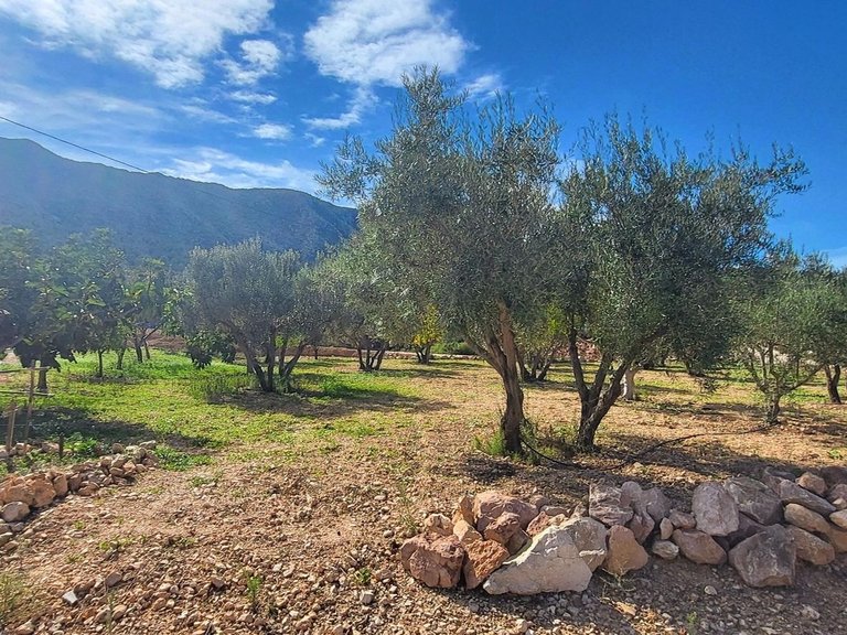 Villa for Sale in La Romana, Alicante 45