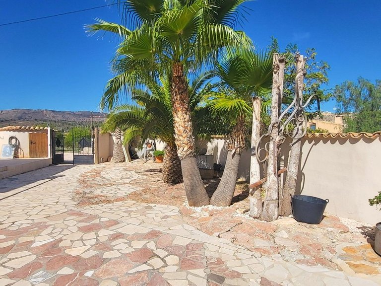 Villa for Sale in La Romana, Alicante 38