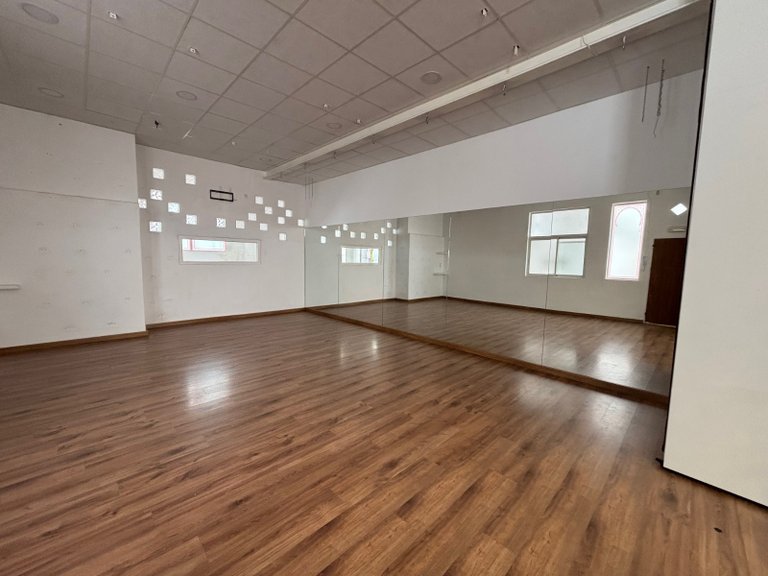 Commercial for Sale in Sax, Alicante 4