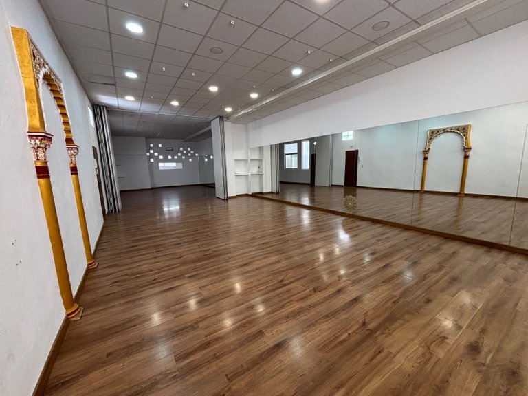 Commercial for Sale in Sax, Alicante 14