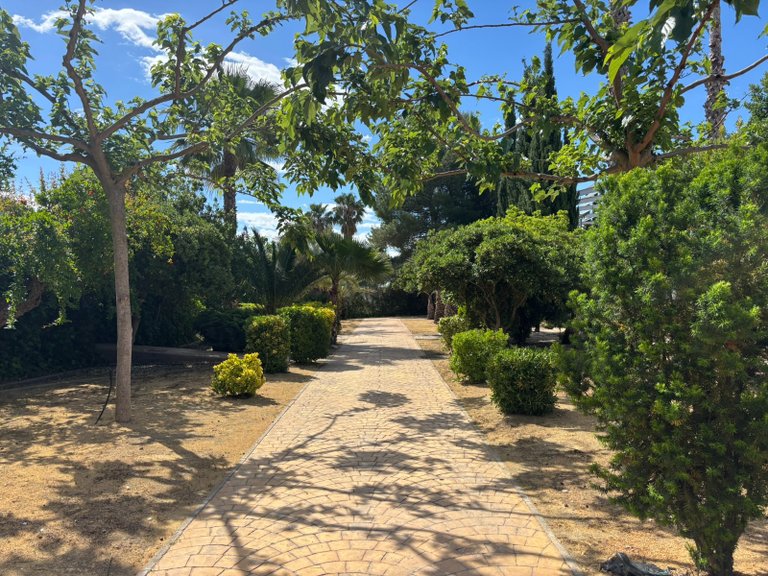Villa for Sale in Sax, Alicante 9