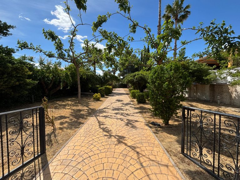 Villa for Sale in Sax, Alicante 8