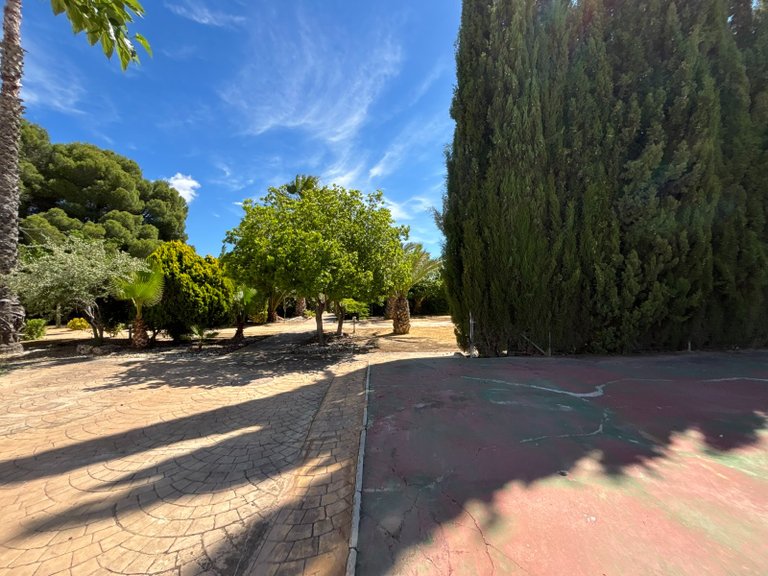 Villa for Sale in Sax, Alicante 40