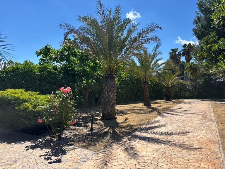 Villa for Sale in Sax, Alicante 41