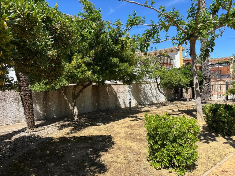 Villa for Sale in Sax, Alicante 44