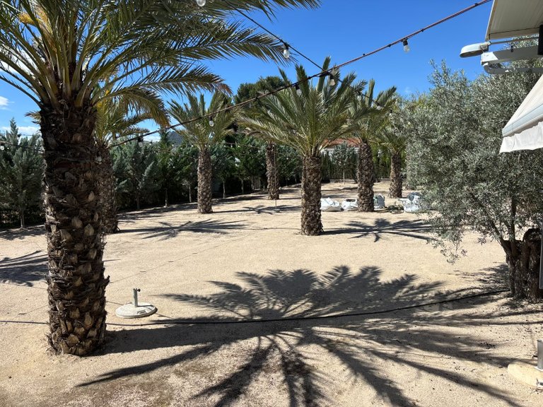 Villa for Sale in Sax, Alicante 47