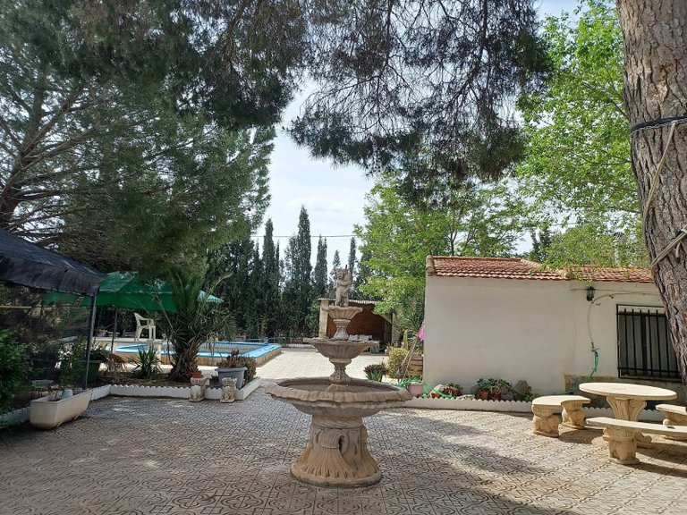Villa for Sale in Sax, Alicante 40