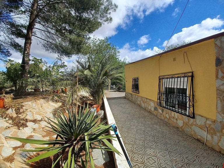 Villa for Sale in Sax, Alicante 38