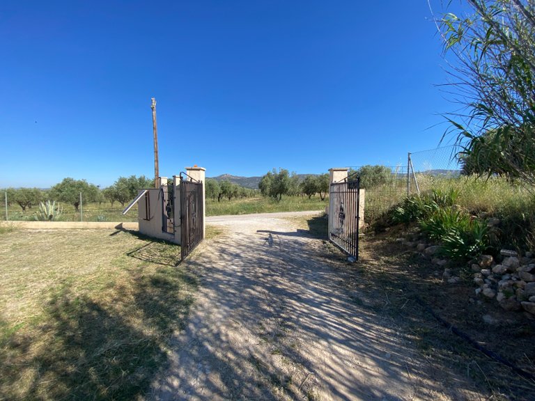 Country House for Sale in Sax, Alicante 7