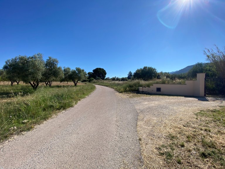 Country House for Sale in Sax, Alicante 12