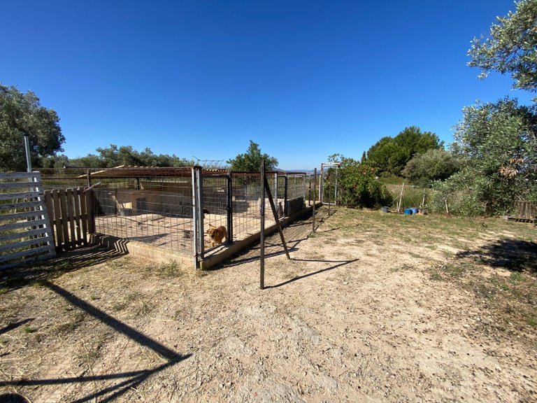 Country House for Sale in Sax, Alicante 17