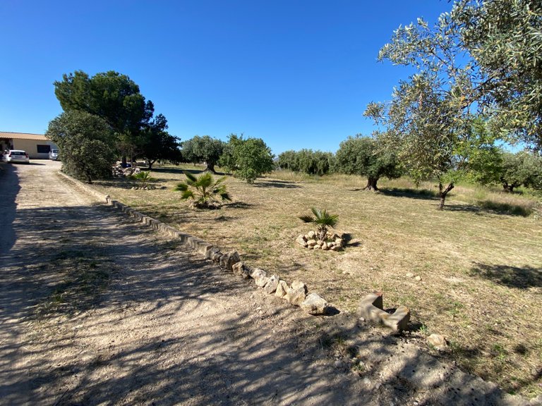 Country House for Sale in Sax, Alicante 15