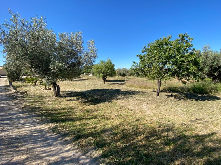 Country House for Sale in Sax, Alicante 14