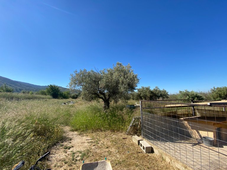 Country House for Sale in Sax, Alicante 18