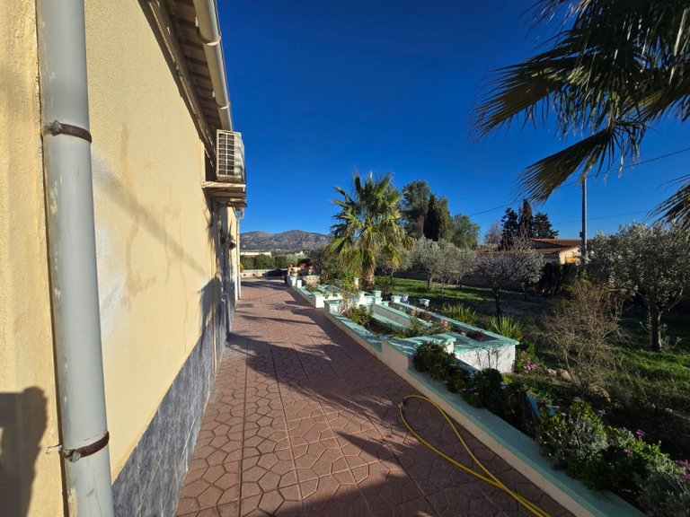 Country House for Sale in Sax, Alicante 25