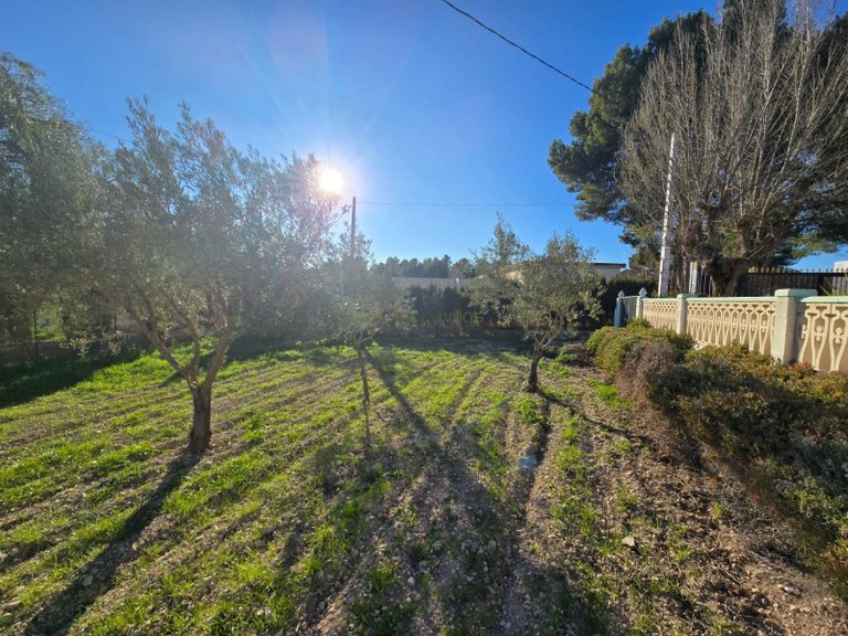 Country House for Sale in Sax, Alicante 20