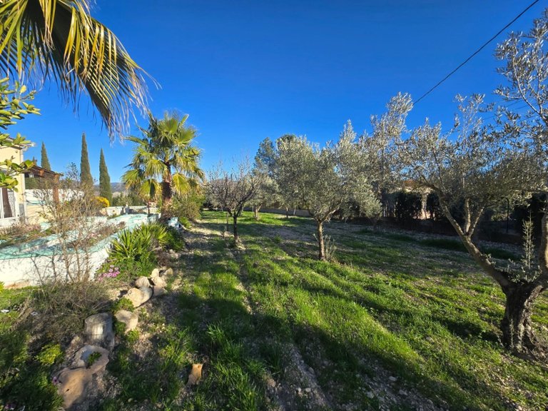 Country House for Sale in Sax, Alicante 21