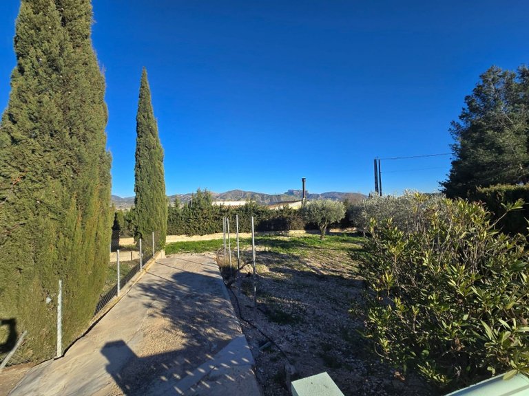 Country House for Sale in Sax, Alicante 24