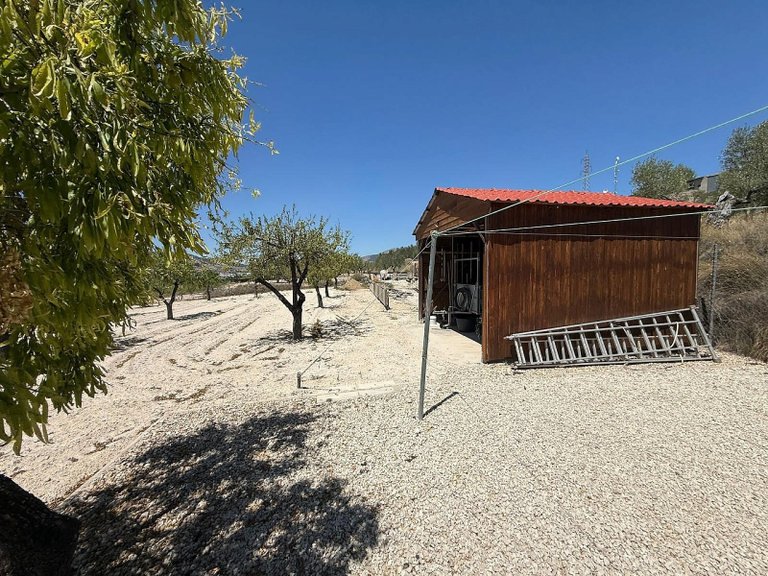Villa for Sale in Castalla, Alicante 29
