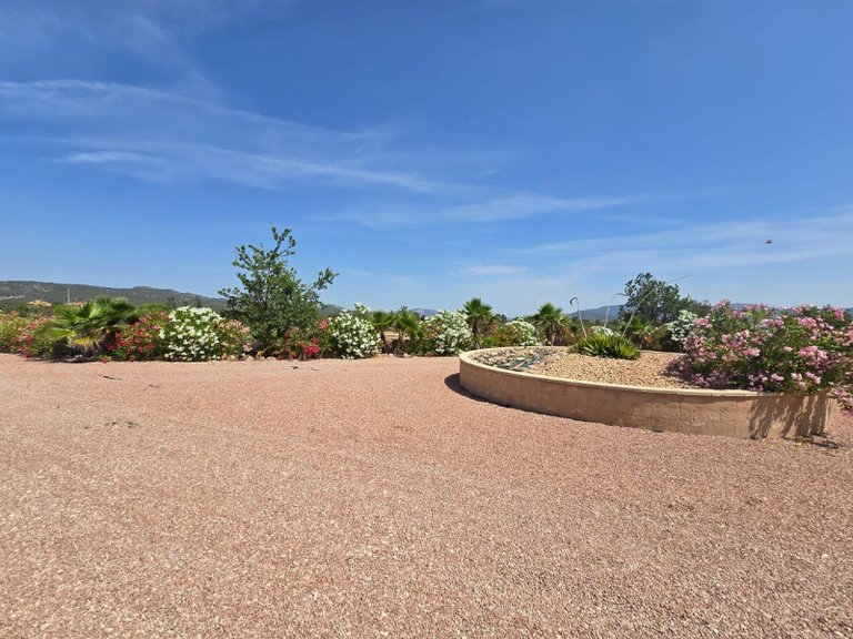 Villa for Sale in Monóvar, Alicante 4