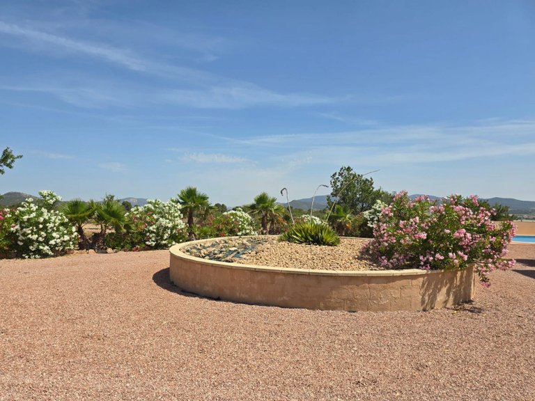 Villa for Sale in Monóvar, Alicante 5