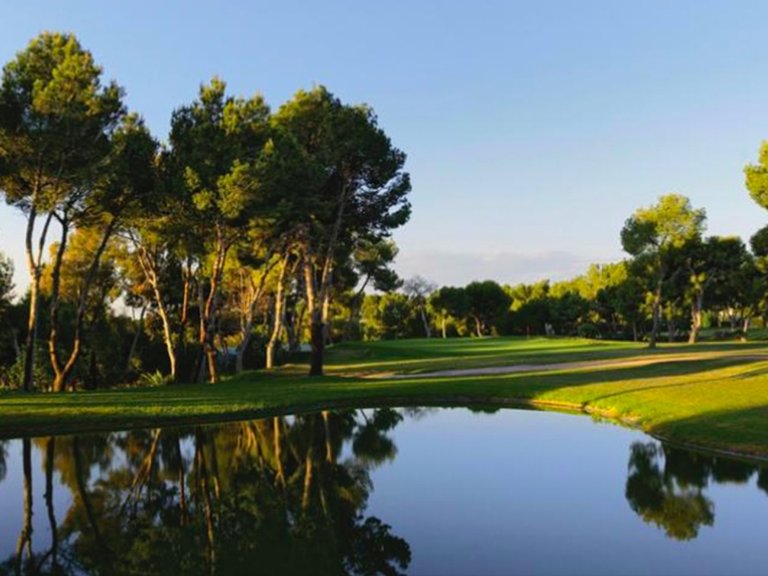 Apartment for Sale in Orihuela, Alicante 19