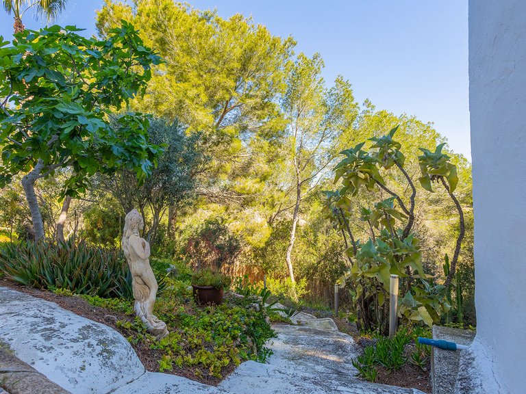 Villa for Sale in Inland Orihuela, Alicante 45