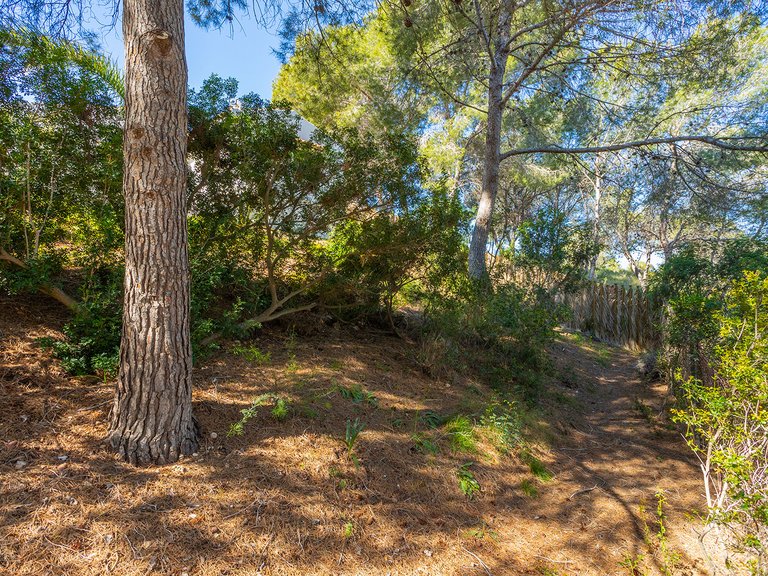 Villa for Sale in Inland Orihuela, Alicante 46
